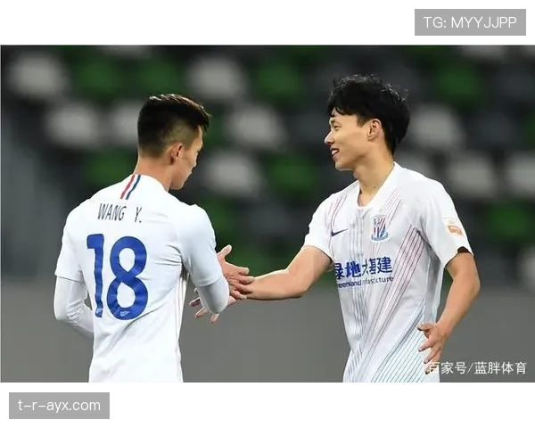 苏格兰“格子军团”强势回暖，国家队胜利点燃球迷热情