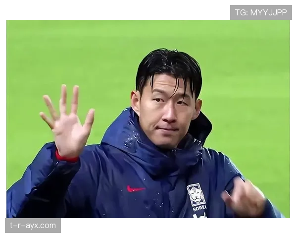 孙兴慜估值与转会市场 孙兴慜估值与转会市场