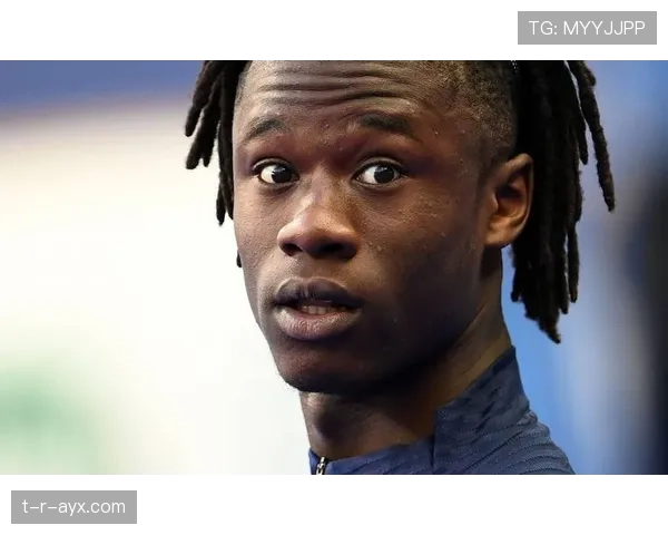 卡马文加全能但不精？多面手角色适应性与上限分析